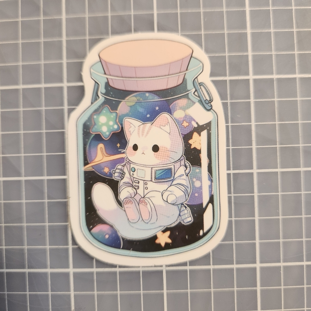 10/$10 Stickers Cat in Space